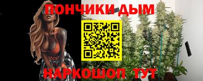 бошки Гагарин