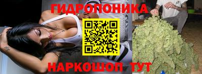 гидропоника Гай